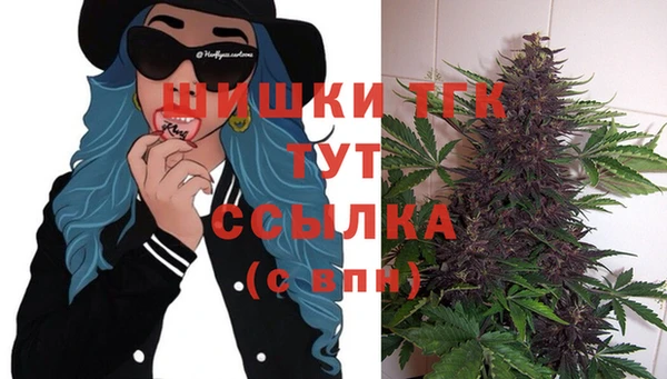 прущие крисы Тайга