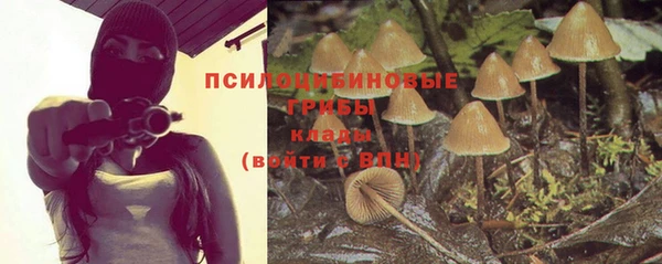 хмурый Сясьстрой