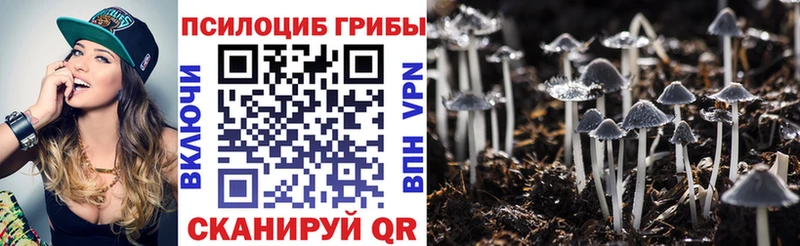 Псилоцибиновые грибы GOLDEN TEACHER  Купить закладки  Пионерский 